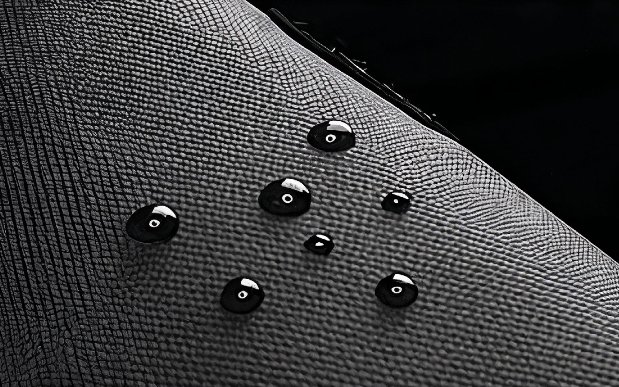 Tech Organizer Case C01